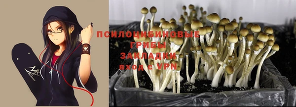 а пвп мука Бугульма