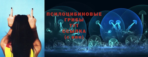 винт Богородицк