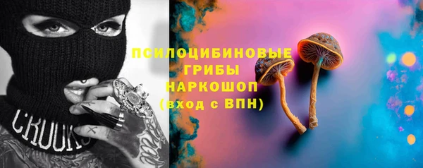 а пвп мука Бугульма