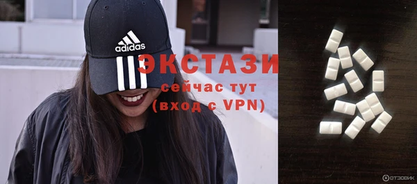 стаф Богданович