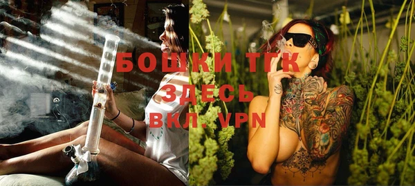 гидропоника Бородино