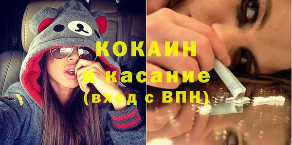 стаф Богданович