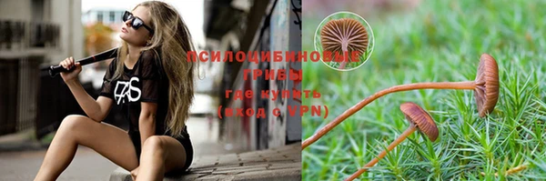 дживик Белоозёрский